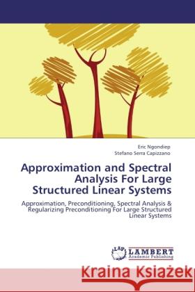 Approximation and Spectral Analysis For Large Structured Linear Systems Ngondiep, Eric, Serra Capizzano, Stefano 9783845415475