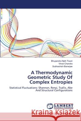 A Thermodynamic Geometric Study Of Complex Entropies Tiwari, Bhupendra Nath 9783845420691 LAP Lambert Academic Publishing