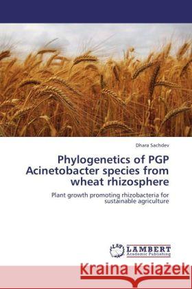 Phylogenetics of PGP Acinetobacter species from wheat rhizosphere Sachdev, Dhara 9783845421636