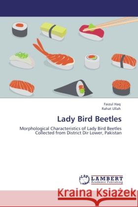 Lady Bird Beetles Haq, Faizul, Ullah, Rahat 9783845430140 LAP Lambert Academic Publishing