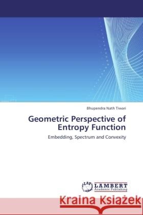 Geometric Perspective of Entropy Function Tiwari, Bhupendra Nath 9783845431789