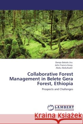 Collaborative Forest Management in Belete Gera Forest, Ethiopia Jiru, Dereje Bekele, Kessy, John Francis, Abdulkadir, Abdu 9783845432069 LAP Lambert Academic Publishing