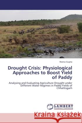 Drought Crisis: Physiological Approaches to Boost Yield of Paddy Gupta, Reena 9783845432120