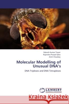 Molecular Modelling of Unusual DNA s Tiwari, Rakesh Kumar, Ojha, Rajendra Prasad, Chaubey, Amit 9783845442365