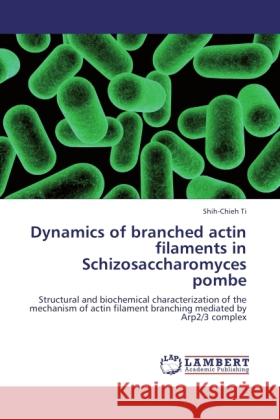 Dynamics of branched actin filaments in Schizosaccharomyces pombe Ti, Shih-Chieh 9783845443003