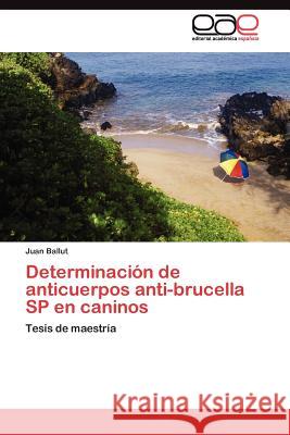 Determinación de anticuerpos anti-brucella SP en caninos Ballut Juan 9783845480350 Editorial Acad Mica Espa Ola