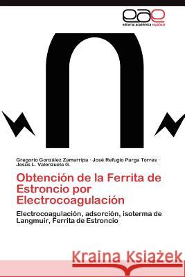 Obtención de la Ferrita de Estroncio por Electrocoagulación González Zamarripa Gregorio 9783845486260