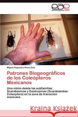 Patrones Biogeográficos de los Coleópteros Mexicanos Rivas Soto Miguel Alejandro 9783845487878