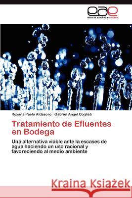 Tratamiento de Efluentes en Bodega Aldasoro Roxana Paola 9783845488172 Editorial Acad Mica Espa Ola