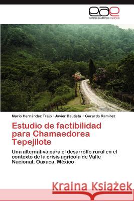 Estudio de factibilidad para Chamaedorea Tepejilote Hernández Trejo Mario 9783845488554
