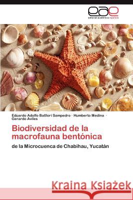 Biodiversidad de la macrofauna bentónica Batllori Sampedro Eduardo Adolfo 9783845492490 Editorial Acad Mica Espa Ola