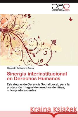 Sinergia interinstitucional en Derechos Humanos Ballestero Araya Elizabeth 9783845493909 Editorial Acad Mica Espa Ola