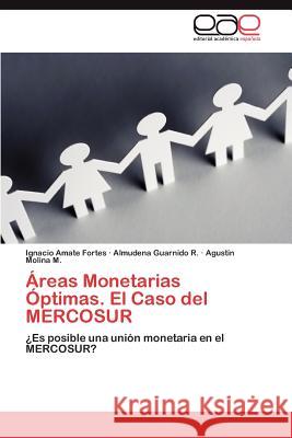 Áreas Monetarias Óptimas. El Caso del MERCOSUR Amate Fortes Ignacio 9783845497006 Editorial Acad Mica Espa Ola