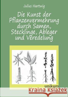 Die Kunst Der Pflanzenvermehrung Durch Samen, Stecklinge, Ableger Und Veredelung Hartwig, Julius 9783845741673
