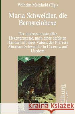 Maria Schweidler, die Bernsteinhexe Meinhold, Wilhelm 9783845743226