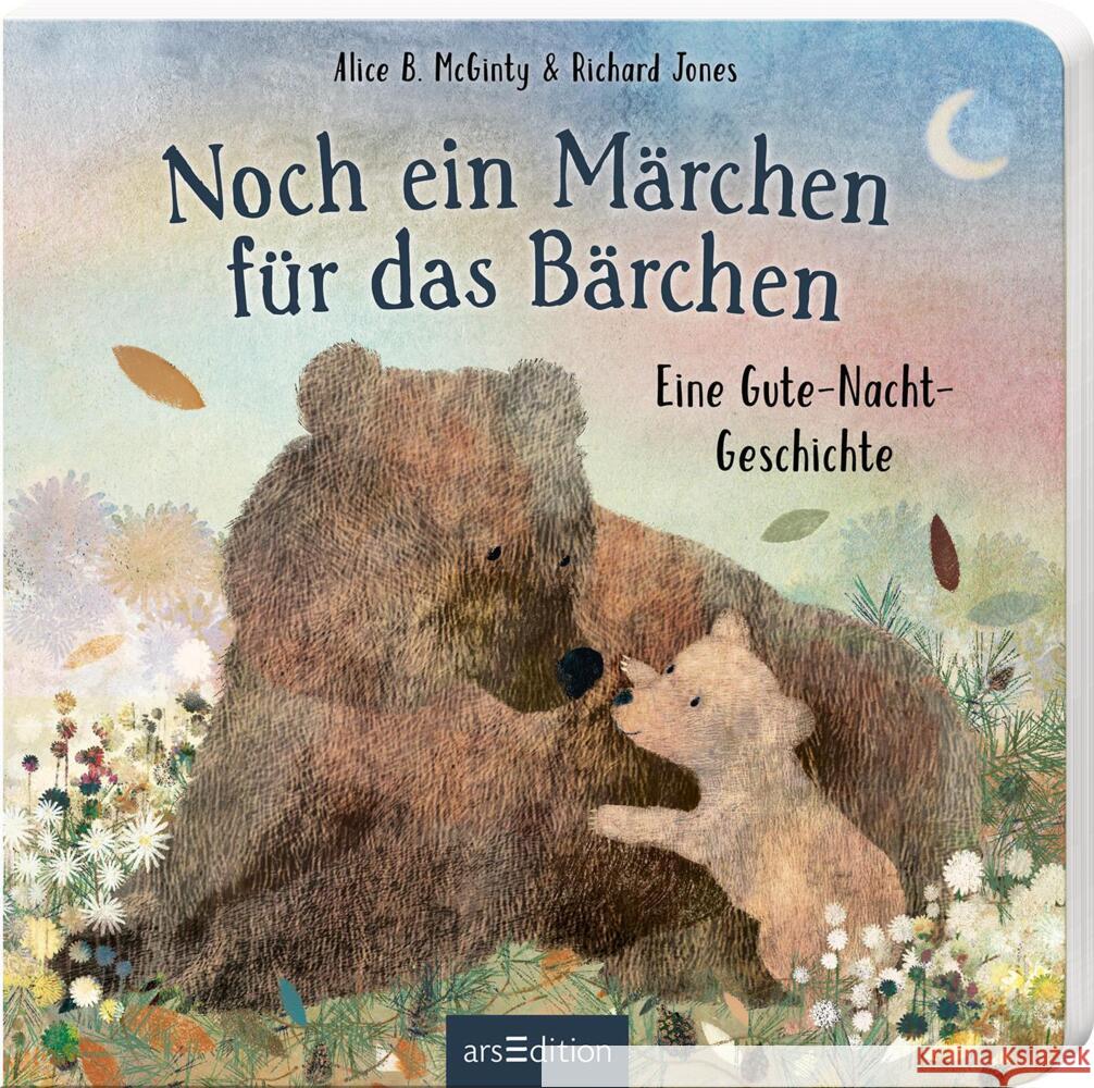 Noch ein Märchen für das Bärchen McGinty, Alice B. 9783845844695