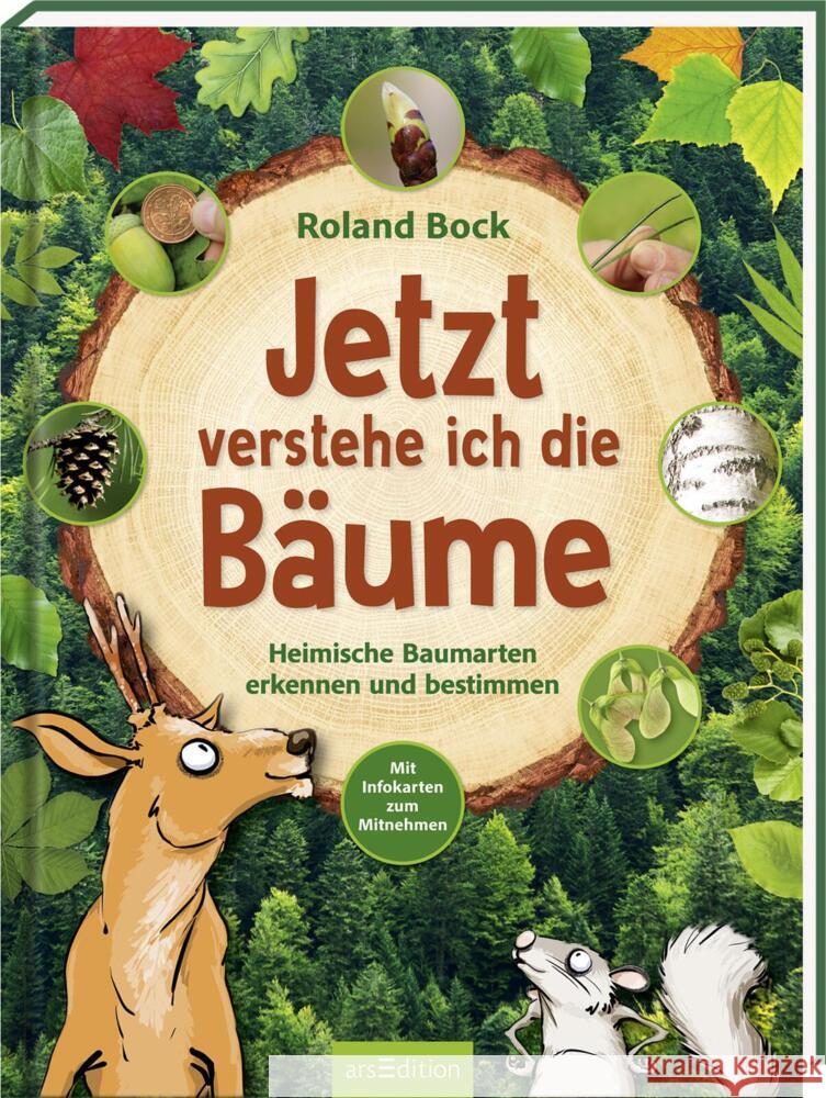 Jetzt verstehe ich die Bäume Bock, Roland 9783845847030 ars edition