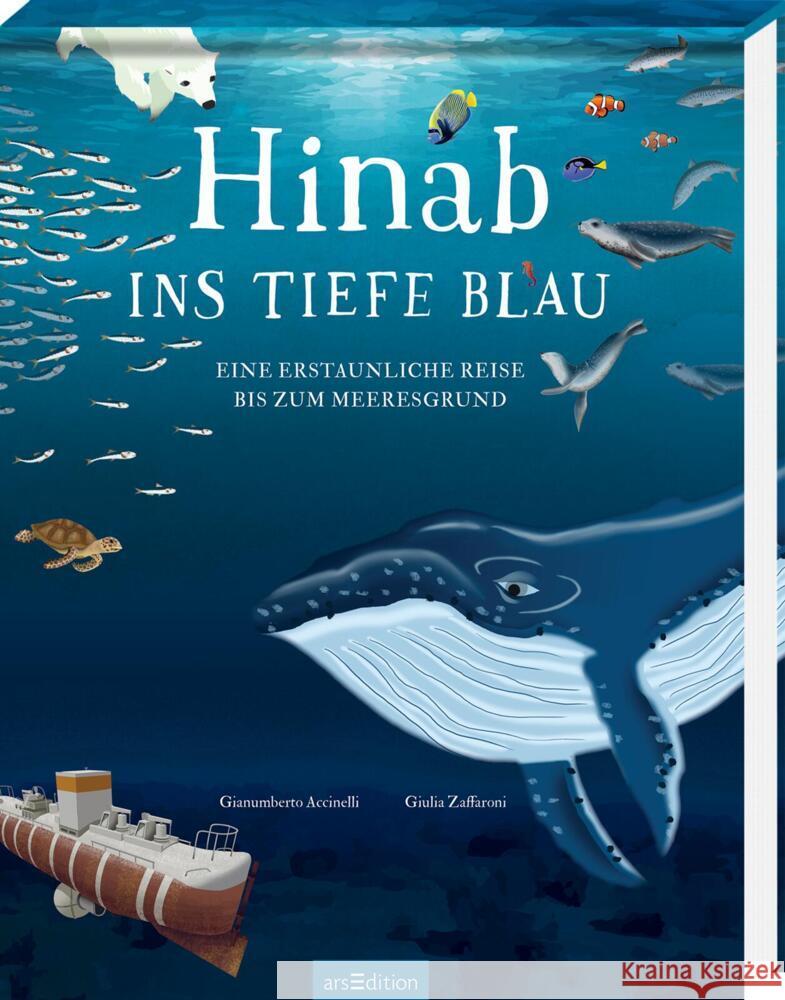 Hinab ins tiefe Blau Accinelli, Gianumberto 9783845847931