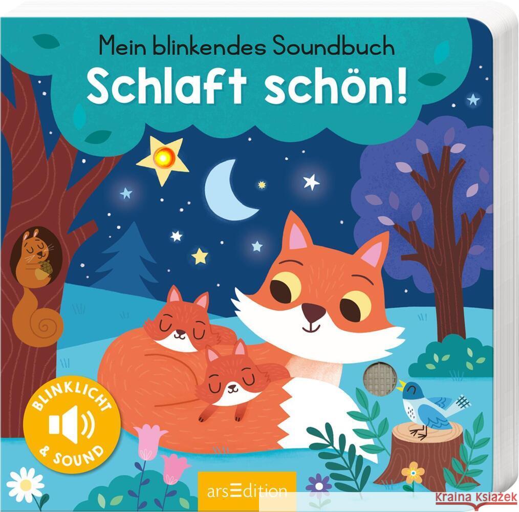 Mein blinkendes Soundbuch - Schlaft schön! Höck, Maria 9783845848099 ars edition