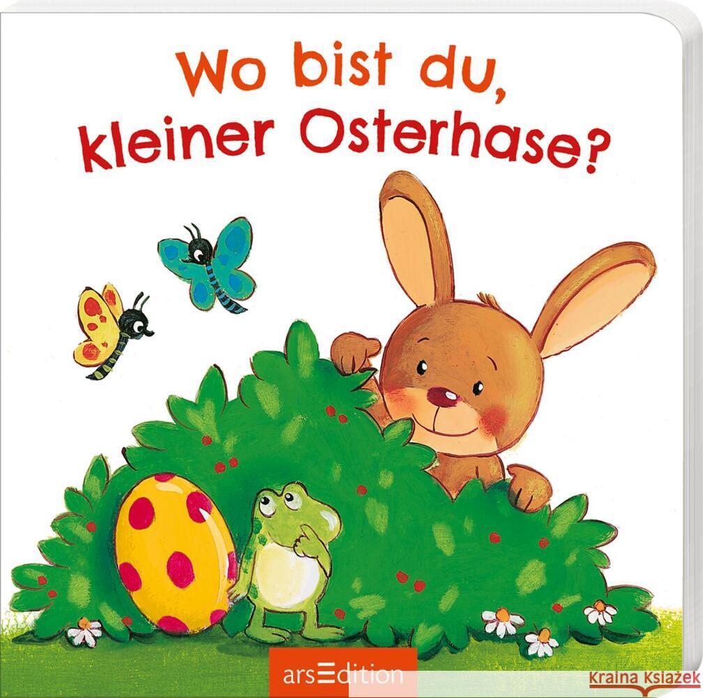 Wo bist du, kleiner Osterhase? Höck, Maria 9783845851051 ars edition