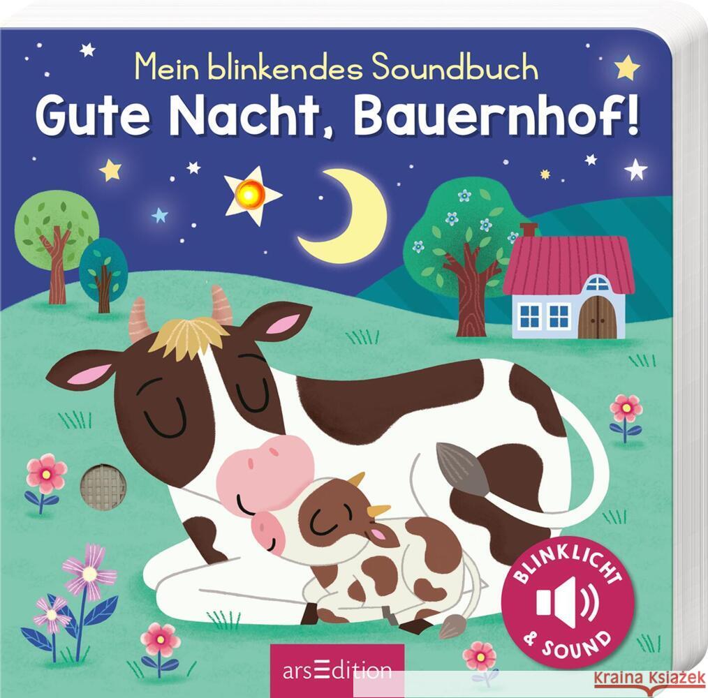 Mein blinkendes Soundbuch - Gute Nacht, Bauernhof! Höck, Maria 9783845852430 ars edition