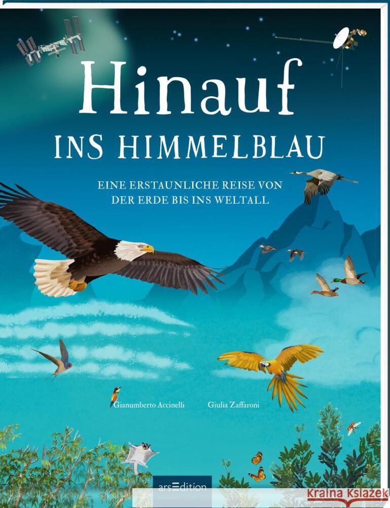 Hinauf ins Himmelblau Accinelli, Gianumberto 9783845855424