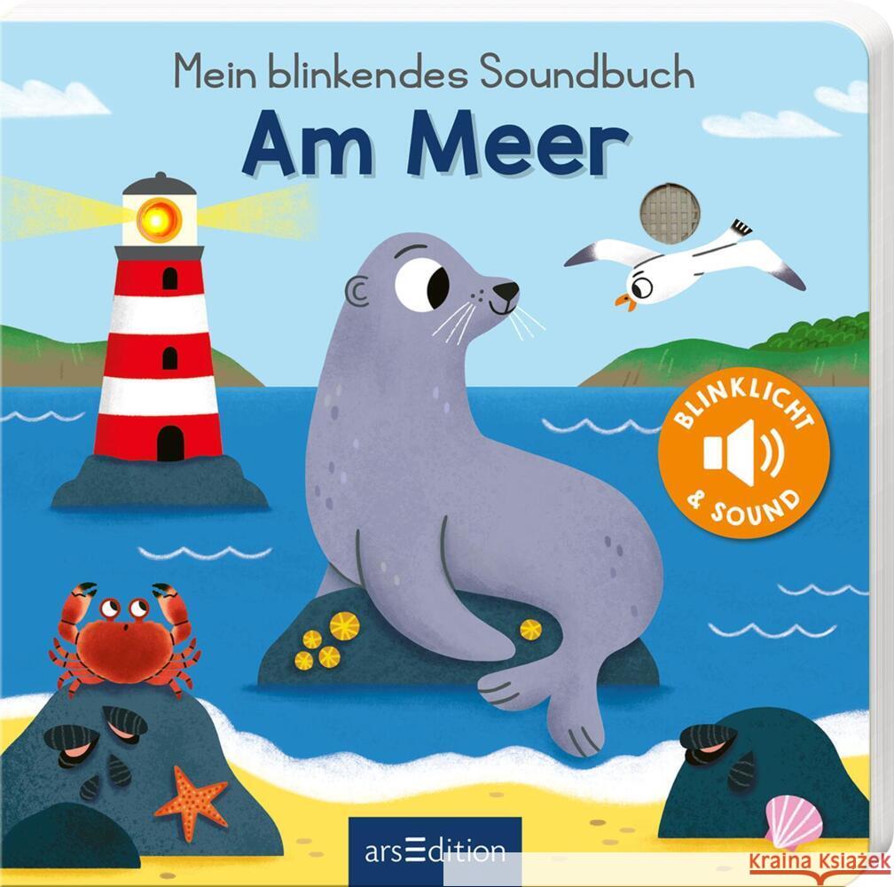 Mein blinkendes Soundbuch - Am Meer Höck, Maria 9783845855523 ars edition