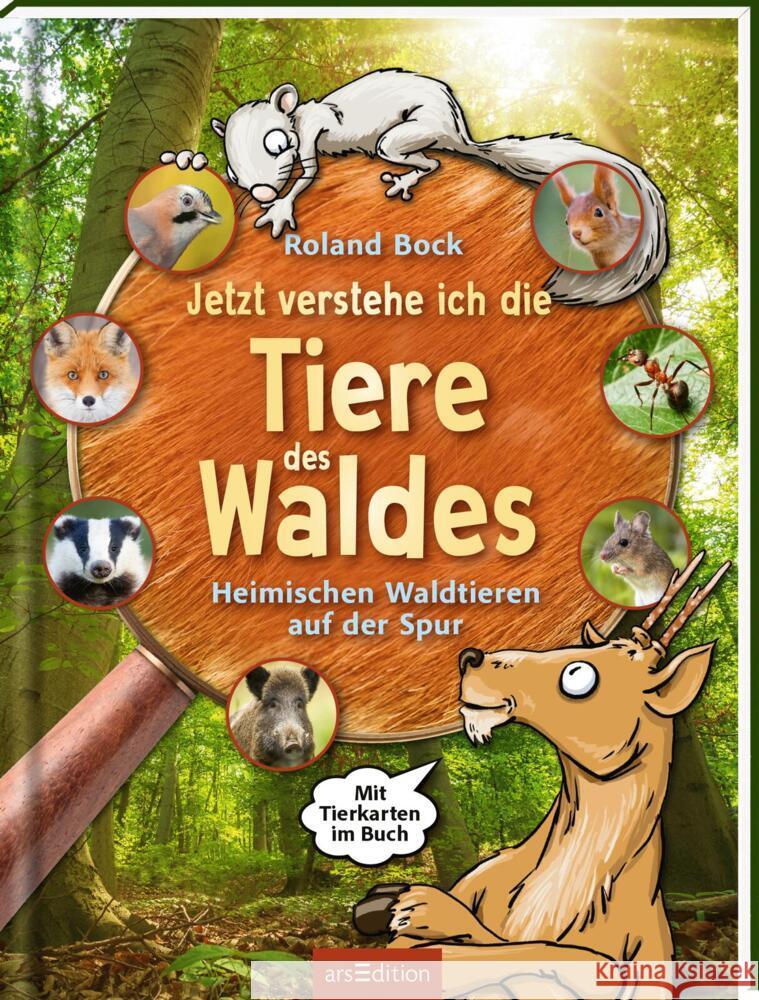 Jetzt verstehe ich die Tiere des Waldes Bock, Roland 9783845855653 ars edition