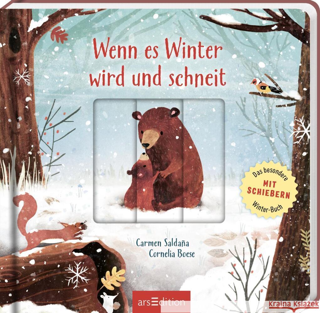 Wenn es Winter wird und schneit Boese, Cornelia 9783845856407