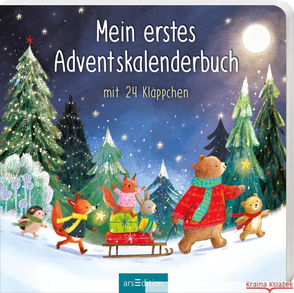 Mein erstes Adventskalenderbuch Höck, Maria 9783845858371 ars edition