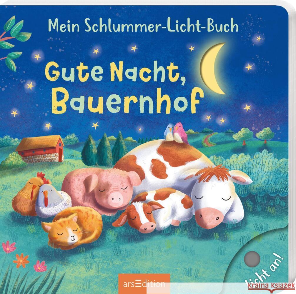 Mein Schlummer-Licht-Buch: Gute Nacht, Bauernhof Höck, Maria 9783845859644