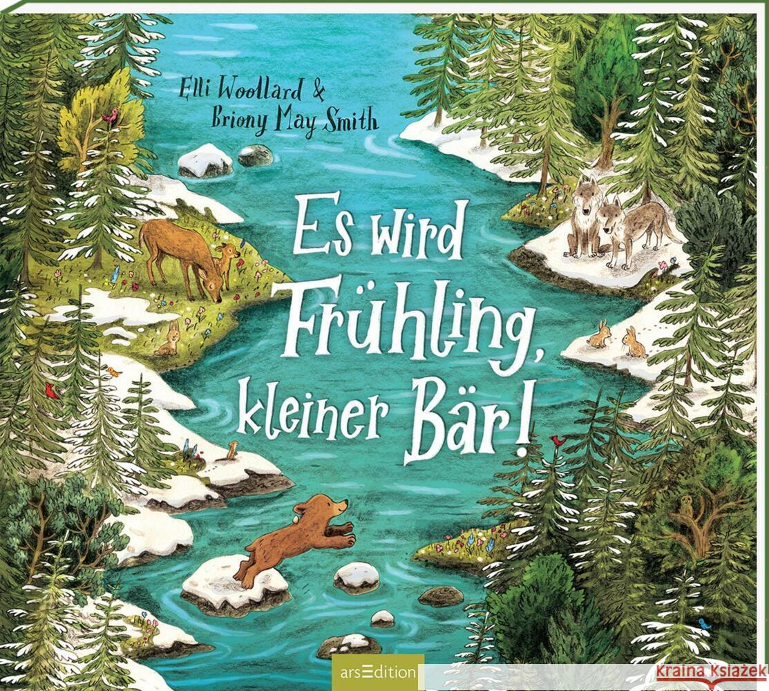 Es wird Frühling, kleiner Bär! Woollard, Elli 9783845863030