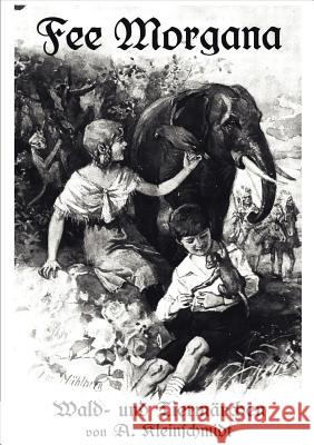 Fee Morgana Kleinschmidt, A. 9783846000588 Salzwasser-Verlag