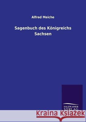 Sagenbuch Des Konigreichs Sachsen Meiche, Alfred 9783846002056 Salzwasser-Verlag