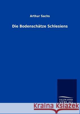 Die Bodenschätze Schlesiens Sachs, Arthur 9783846003558