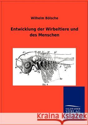 Entwicklung der Wirbeltiere und des Menschen Wilhelm Bölsche 9783846004395 Salzwasser-Verlag Gmbh