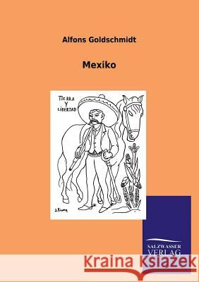 Mexiko Alfons Goldschmidt 9783846005224