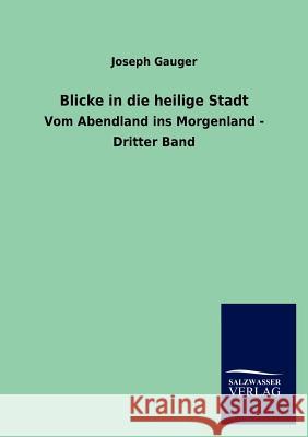 Blicke in die heilige Stadt Gauger, Joseph 9783846014820 Salzwasser-Verlag Gmbh