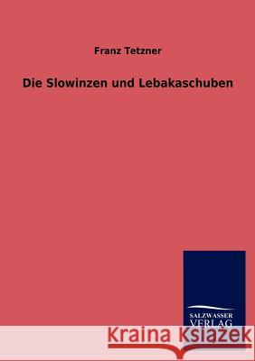 Die Slowinzen und Lebakaschuben Tetzner, Franz 9783846019191 Salzwasser-Verlag Gmbh