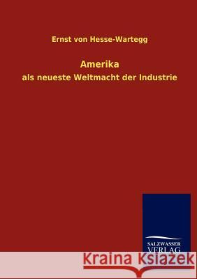 Amerika Ernst Vo 9783846019665 Salzwasser-Verlag Gmbh