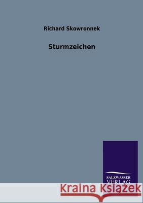 Sturmzeichen Richard Skowronnek 9783846021873