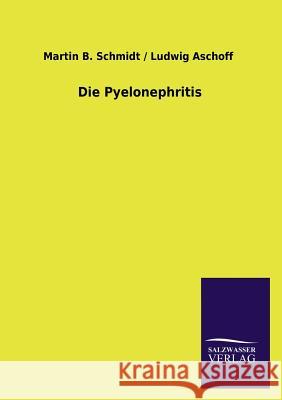 Die Pyelonephritis Martin B. Schmidt 9783846024676 Salzwasser-Verlag Gmbh