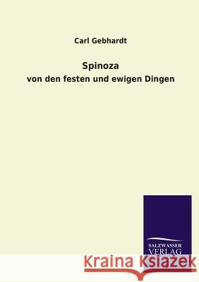 Spinoza Carl Gebhardt 9783846034705 Salzwasser-Verlag Gmbh