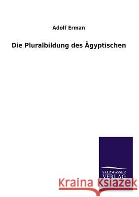 Die Pluralbildung Des Agyptischen Adolf Erman 9783846046333