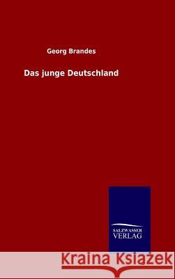 Das junge Deutschland Dr Georg Brandes 9783846061152 Salzwasser-Verlag Gmbh