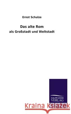 Das alte Rom: als Großstadt und Weltstadt Schulze, Ernst 9783846065648