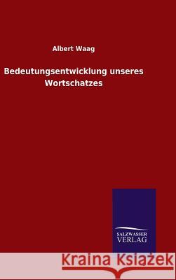 Bedeutungsentwicklung unseres Wortschatzes Albert Waag 9783846074602 Salzwasser-Verlag Gmbh