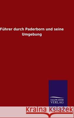 Führer durch Paderborn und seine Umgebung Ohne Autor 9783846080450 Salzwasser-Verlag Gmbh