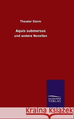 Aquis submersus Storm, Theodor 9783846097168 Salzwasser-Verlag Gmbh