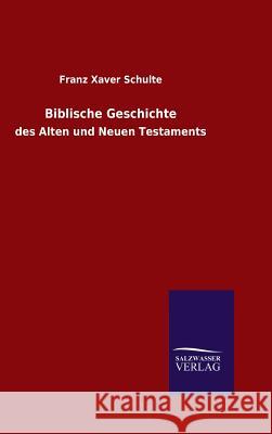 Biblische Geschichte Franz Xaver Schulte   9783846097977